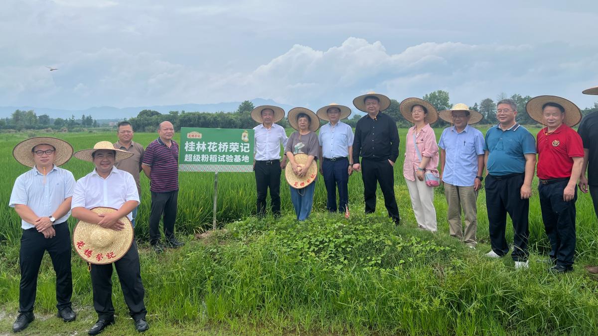 华中农业大学专家团助力花桥荣记粉稻产业升级